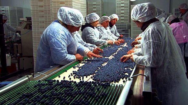 Sierra Exportadora promoverÃ¡ ventas por S/.400 millones
